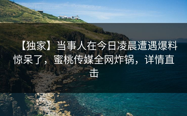【独家】当事人在今日凌晨遭遇爆料惊呆了，蜜桃传媒全网炸锅，详情直击
