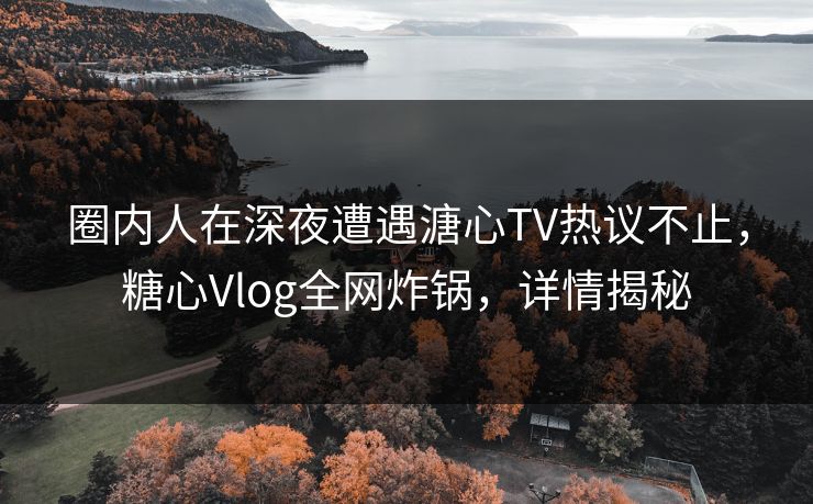 圈内人在深夜遭遇溏心TV热议不止,糖心Vlog全网炸锅,详情揭秘 圈内人在深夜遭遇溏心TV热议不止,糖心Vlog全网炸锅,详情揭秘