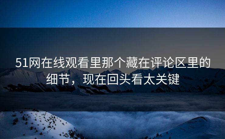 51网在线观看里那个藏在评论区里的细节，现在回头看太关键